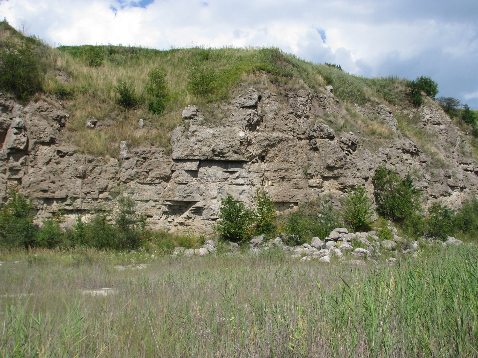 Warstwy gipsów badeńskich widoczne w północnej ścianie kamieniołomu.