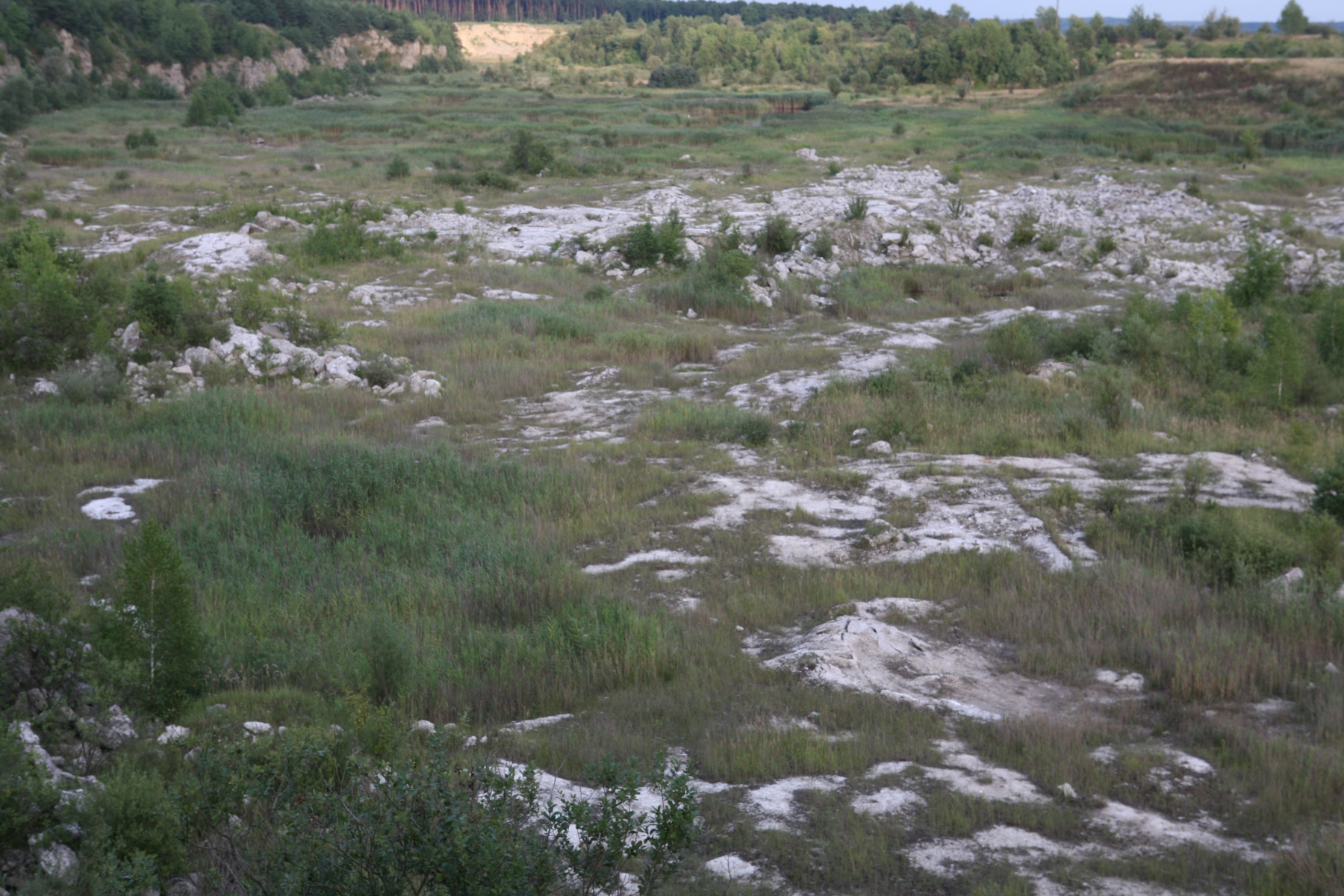 Widok stanowiska wietrzejących skał gipsowo-anhydrytowych.