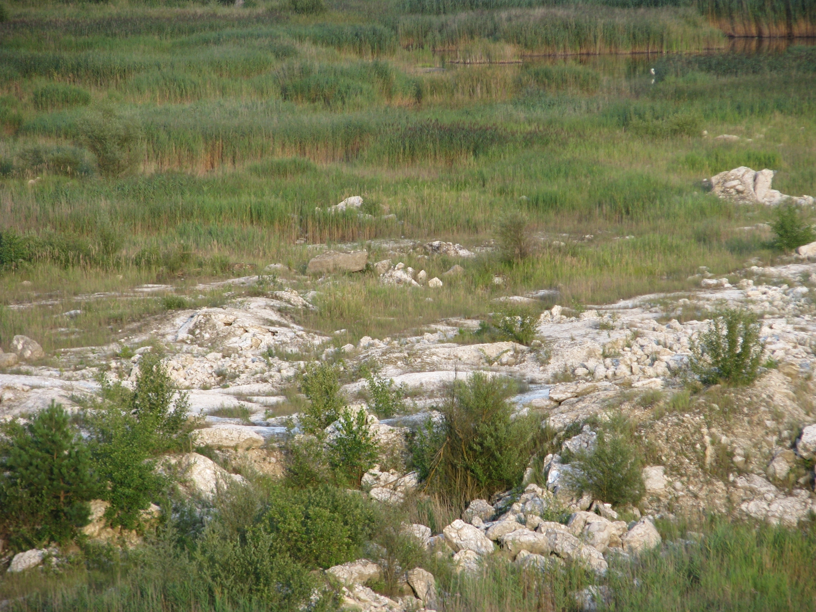 Fragment wschodniej części stanowiska z widoczną granicą między zbiornikami wodnymi, a skałą gipsowo-anhydrytową.