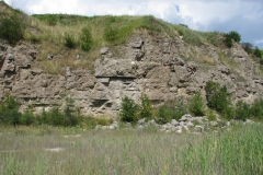 Warstwy gipsów badeńskich widoczne w północnej ścianie kamieniołomu.