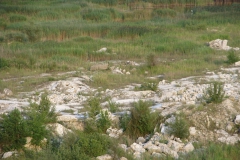 Fragment wschodniej części stanowiska z widoczną granicą między zbiornikami wodnymi, a skałą gipsowo-anhydrytową.
