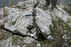 Szczeliny tworzące się na skutek napierania na siebie warstw skały gipsowo-anhydrytowej (fot. M. Bąbel 07.2008)