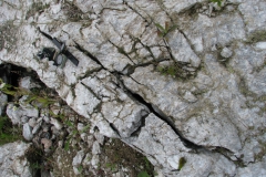 Szczeliny w obrębie skały gipsowo-anhydrytowej (fot. M. Bąbel 07.2008)